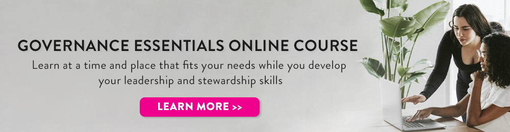 Governance Essentials Online Course