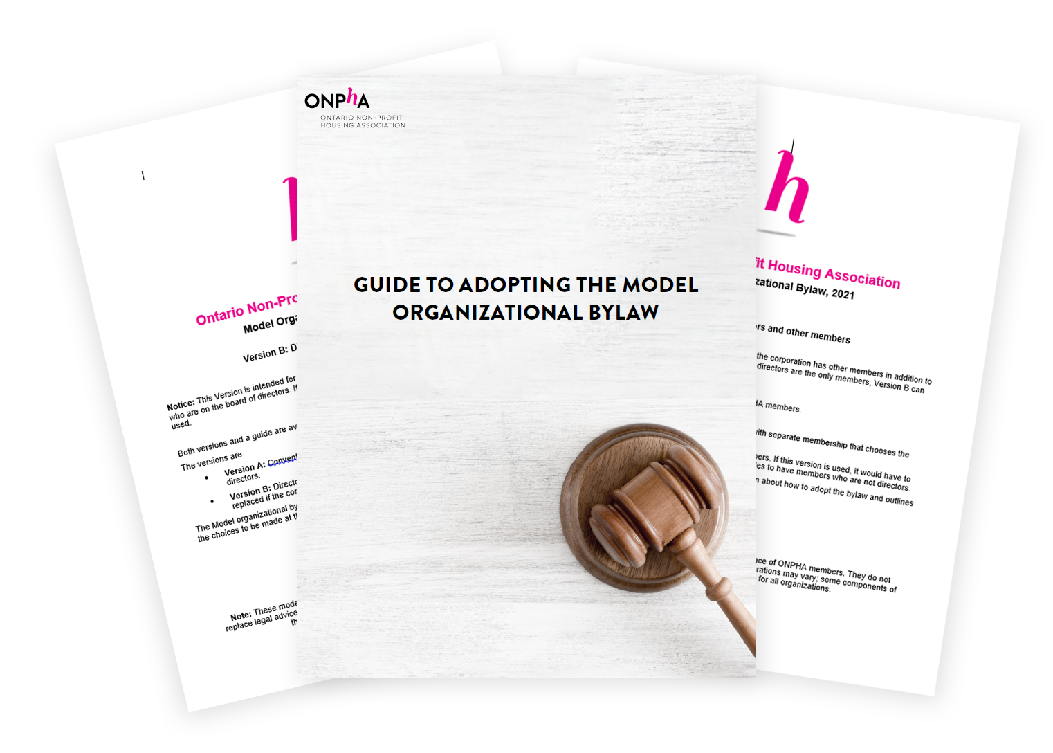Model bylaws and guide bundle